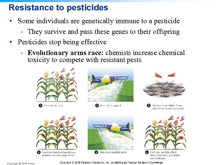 Resistance to pesticides • Some individuals are genetically immune to a pesticide - They