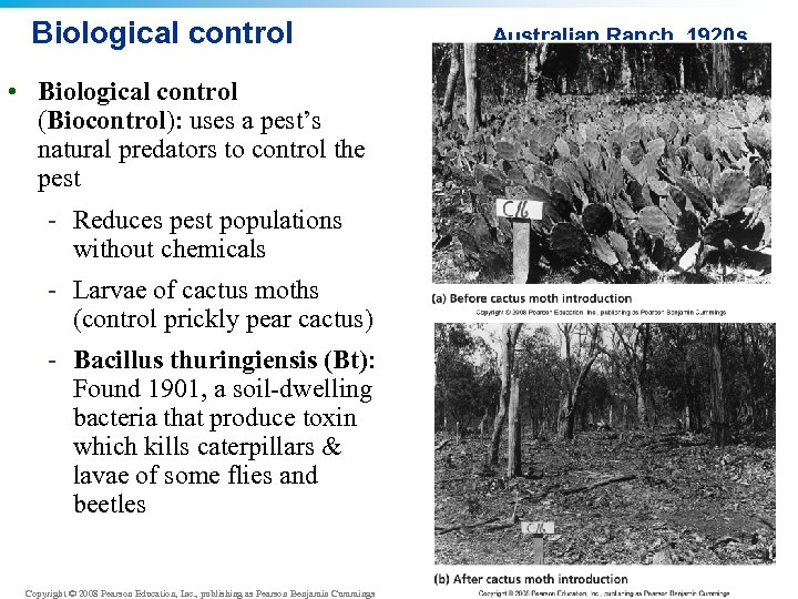 Biological control • Biological control (Biocontrol): uses a pest’s natural predators to control the