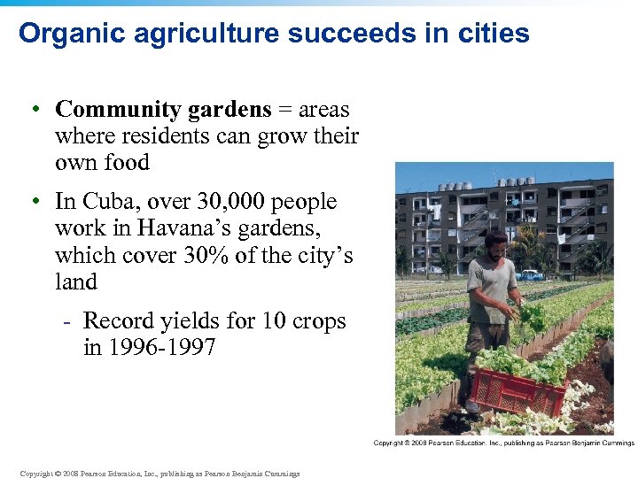 Organic agriculture succeeds in cities • Community gardens = areas where residents can grow