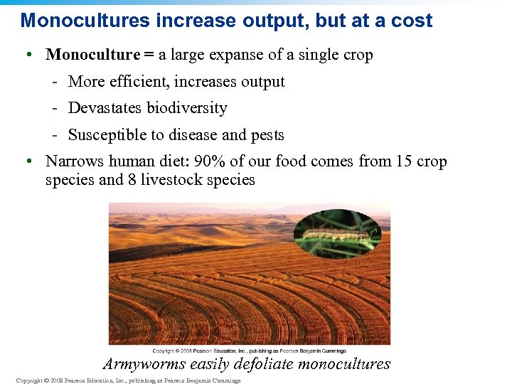 Monocultures increase output, but at a cost • Monoculture = a large expanse of