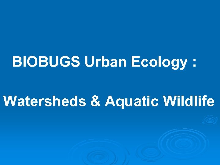 BIOBUGS Urban Ecology : Watersheds & Aquatic Wildlife 