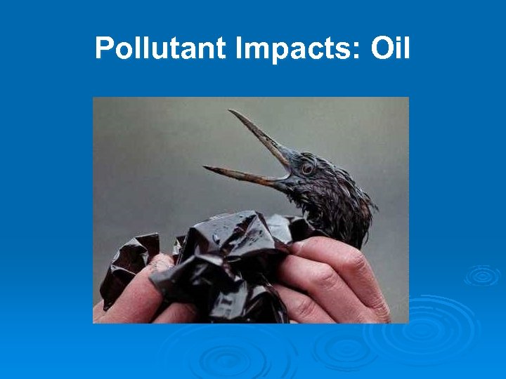 Pollutant Impacts: Oil 