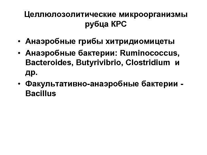 Целлюлозолитические микроорганизмы рубца КРС • Анаэробные грибы хитридиомицеты • Анаэробные бактерии: Ruminococcus, Bacteroides, Butyrivibrio,