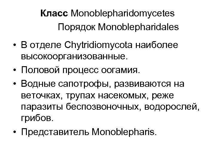 Класс Monoblepharidomycetes Порядок Monoblepharidales • В отделе Chytridiomycota наиболее высокоорганизованные. • Половой процесс оогамия.