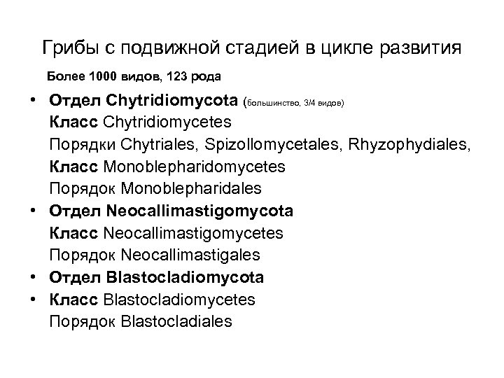 Грибы с подвижной стадией в цикле развития Более 1000 видов, 123 рода • Отдел