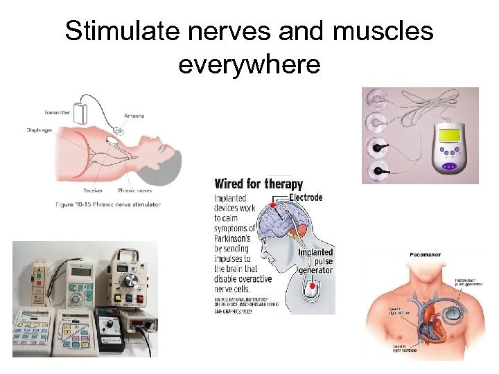 Stimulate nerves and muscles everywhere 