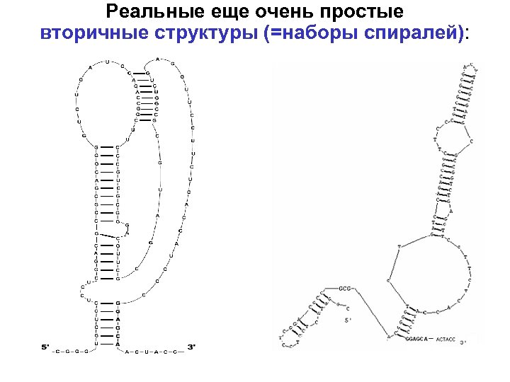 Реальные еще очень простые вторичные структуры (=наборы спиралей): 