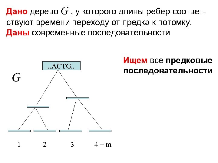 Дано дерево G , у которого длины ребер соответствуют времени переходу от предка к