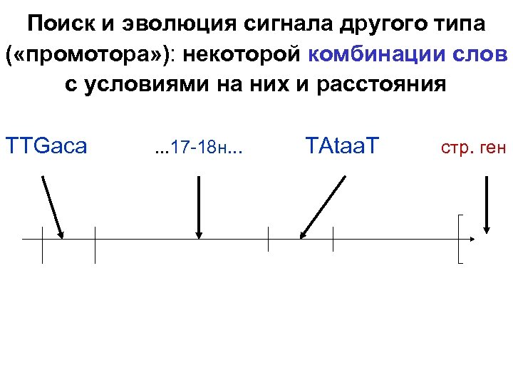 Поиск и эволюция сигнала другого типа ( «промотора» ): некоторой комбинации слов с условиями