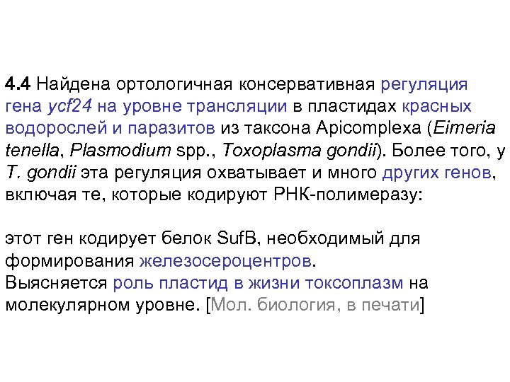 4. 4 Найдена ортологичная консервативная регуляция гена ycf 24 на уровне трансляции в пластидах