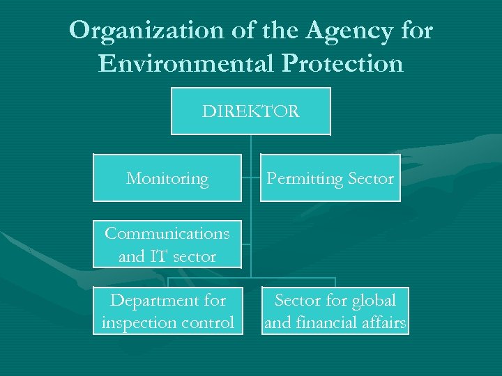 Organization of the Agency for Environmental Protection DIREKTOR Monitoring Permitting Sector Communications and IT