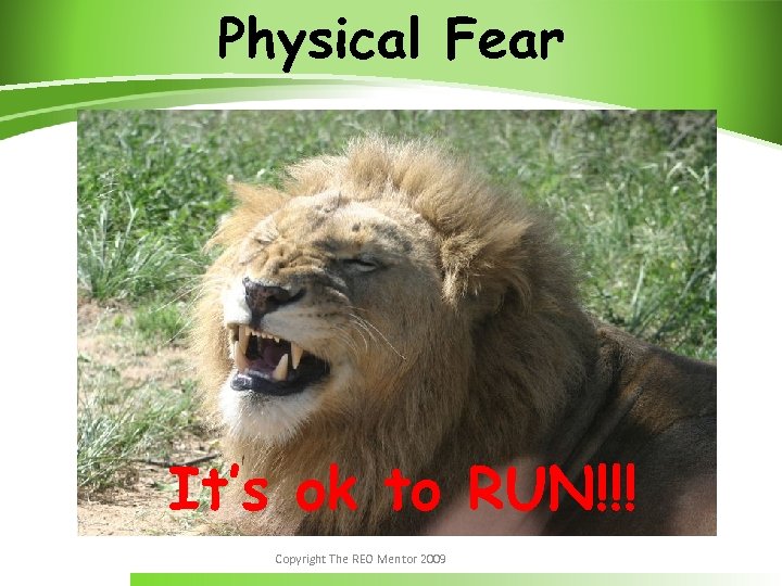 Physical Fear It’s ok to RUN!!! Copyright The REO Mentor 2009 