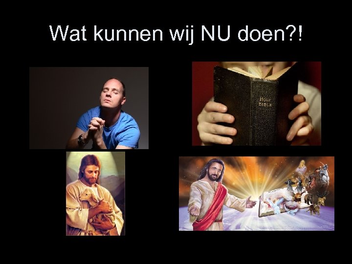 Wat kunnen wij NU doen? ! 