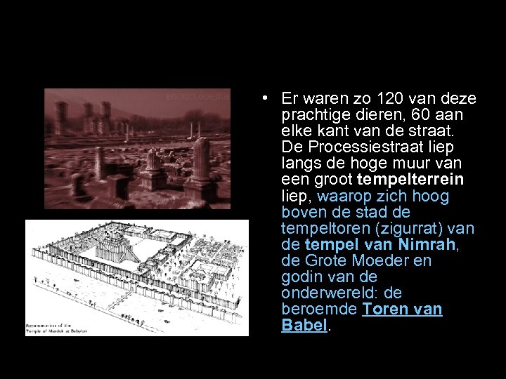  • Er waren zo 120 van deze prachtige dieren, 60 aan elke kant