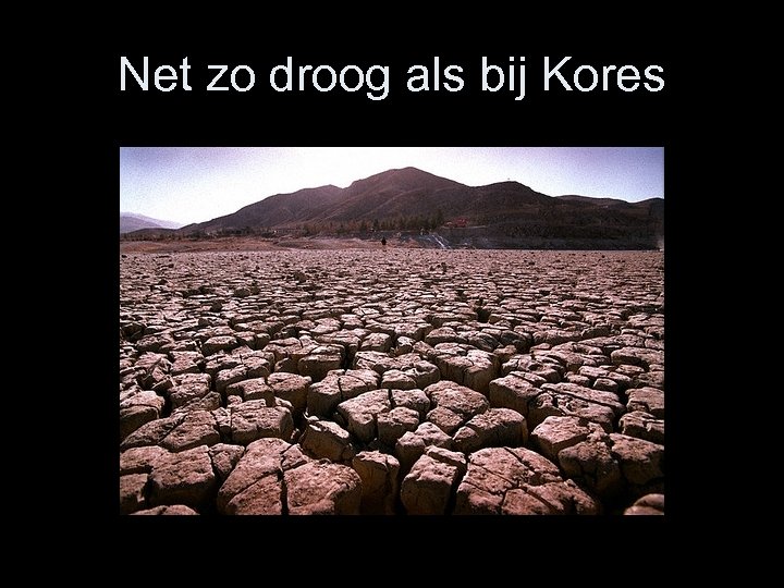 Net zo droog als bij Kores 