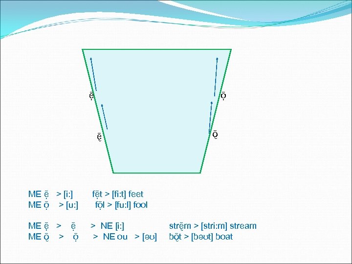 ē ō ę ME ē > [i: ] ME ō > [u: ] fē