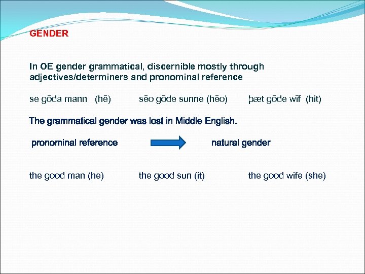 GENDER In OE gender grammatical, discernible mostly through adjectives/determiners and pronominal reference se gōda