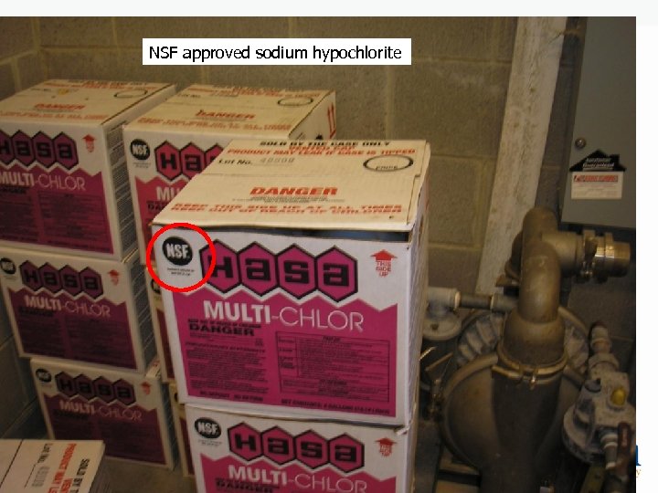 NSF approved sodium hypochlorite 