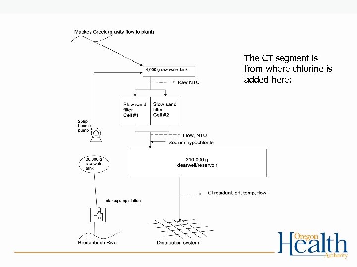 The CT segment is from where chlorine is added here: 