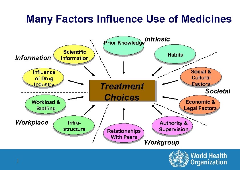 Many Factors Influence Use of Medicines Intrinsic Prior Knowledge Information Scientific Information Influence of