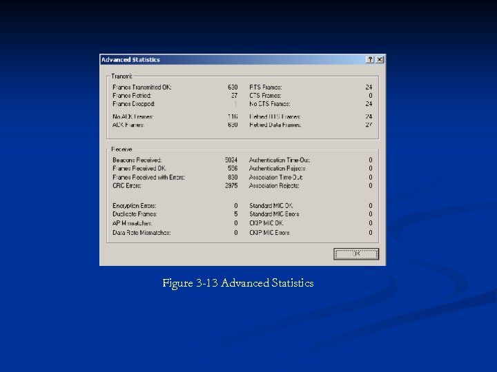 Figure 3 -13 Advanced Statistics 