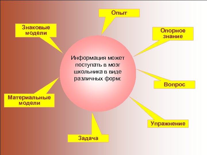 Опыт Знаковые модели Опорное знание Информация может поступать в мозг школьника в виде различных