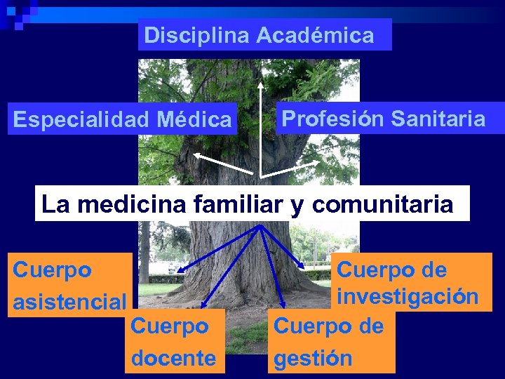 Disciplina Académica Especialidad Médica Profesión Sanitaria La medicina familiar y comunitaria Cuerpo asistencial Cuerpo