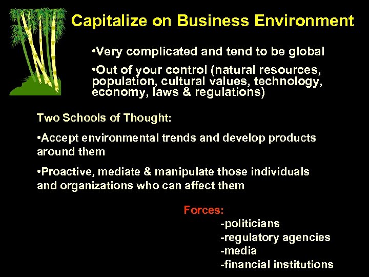 Capitalize on Business Environment • Very complicated and tend to be global • Out