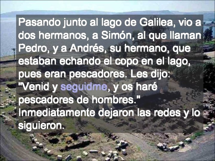 Pasando junto al lago de Galilea, vio a dos hermanos, a Simón, al que