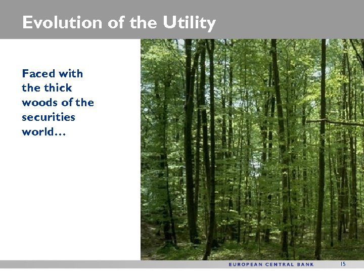 Evolution of the Utility Faced with the thick woods of the securities world… 15