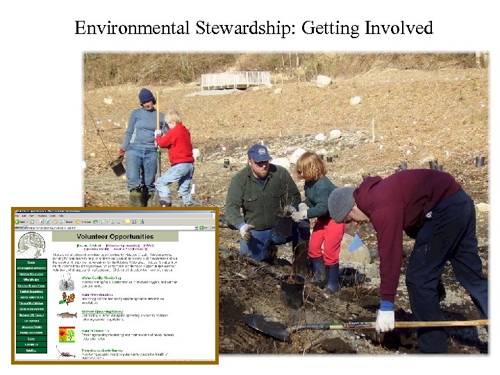 Environmental Stewardship: Getting Involved 