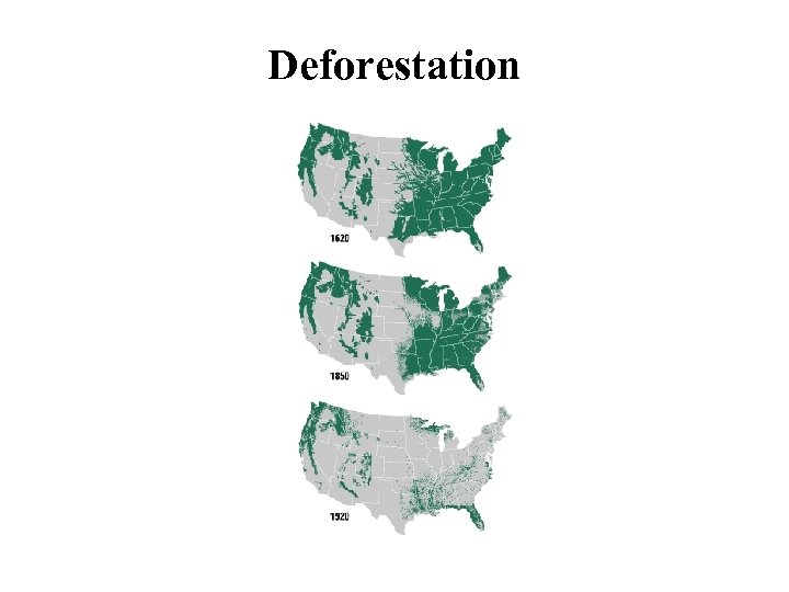 Deforestation 