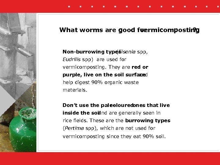 What worms are good for vermicomposting ? Non-burrowing types (Eisenia spp, Eudrilis spp) are