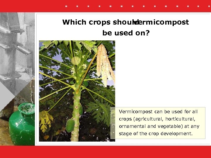 Which crops should vermicompost be used on? Vermicompost can be used for all crops