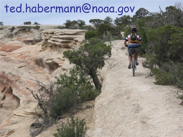 ted. habermann@noaa. gov 