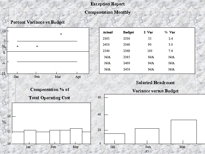 Exception Report Compensation Monthly Percent Variance vs Budget 10 Actual -5 -10 Jan Feb