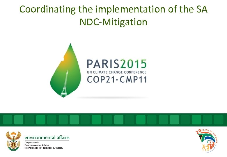 Coordinating the implementation of the SA NDC-Mitigation 