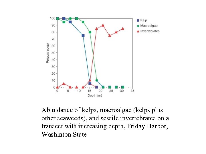 Abundance of kelps, macroalgae (kelps plus other seaweeds), and sessile invertebrates on a transect