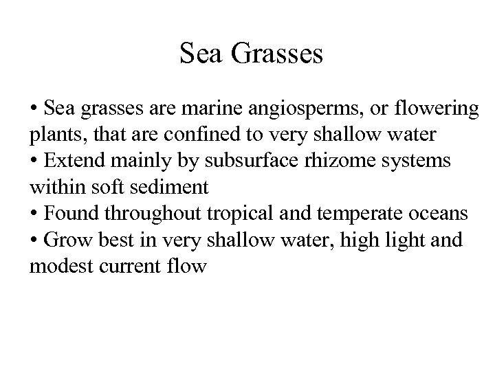 Sea Grasses • Sea grasses are marine angiosperms, or flowering plants, that are confined