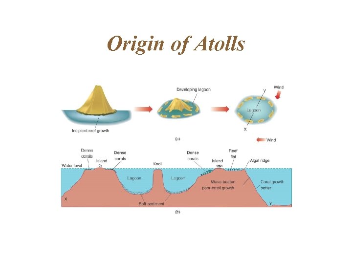Origin of Atolls 