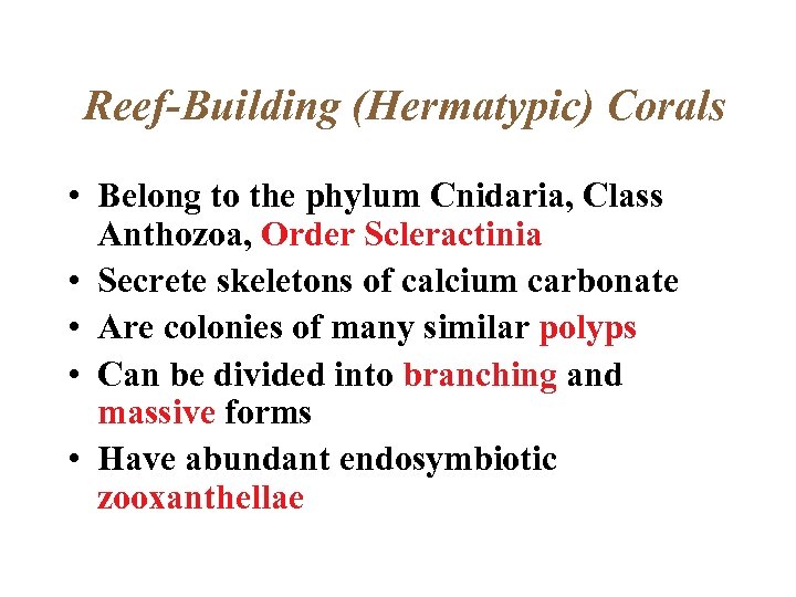 Reef-Building (Hermatypic) Corals • Belong to the phylum Cnidaria, Class Anthozoa, Order Scleractinia •