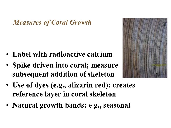 Measures of Coral Growth • Label with radioactive calcium • Spike driven into coral;