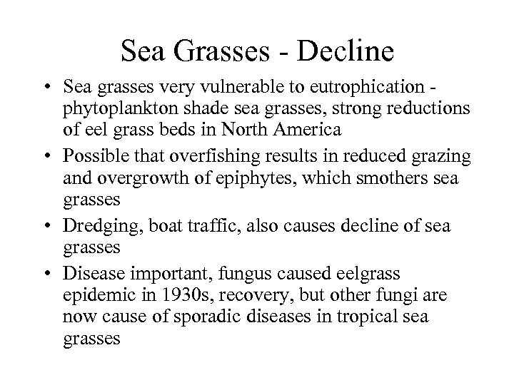 Sea Grasses - Decline • Sea grasses very vulnerable to eutrophication phytoplankton shade sea