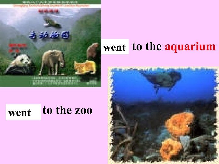 go went to the aquarium go went to the zoo 