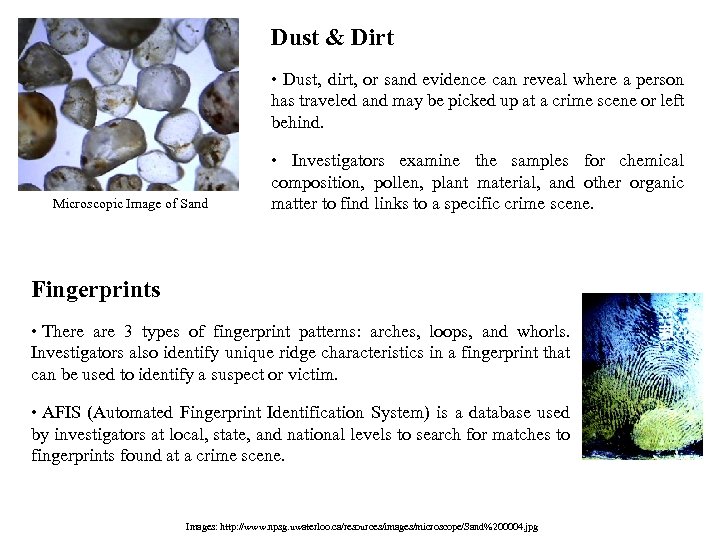 Dust & Dirt • Dust, dirt, or sand evidence can reveal where a person