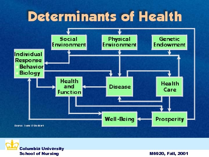 Columbia University School of Nursing M 6920, Fall, 2001 