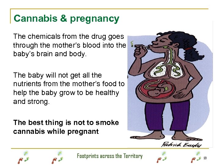 Cannabis & pregnancy The chemicals from the drug goes through the mother’s blood into