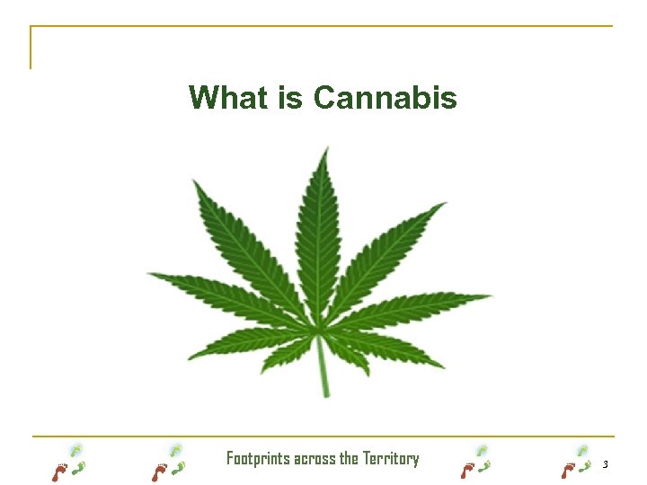 What is Cannabis Footprints across the Territory 3 