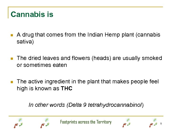 Cannabis is n A drug that comes from the Indian Hemp plant (cannabis sativa)