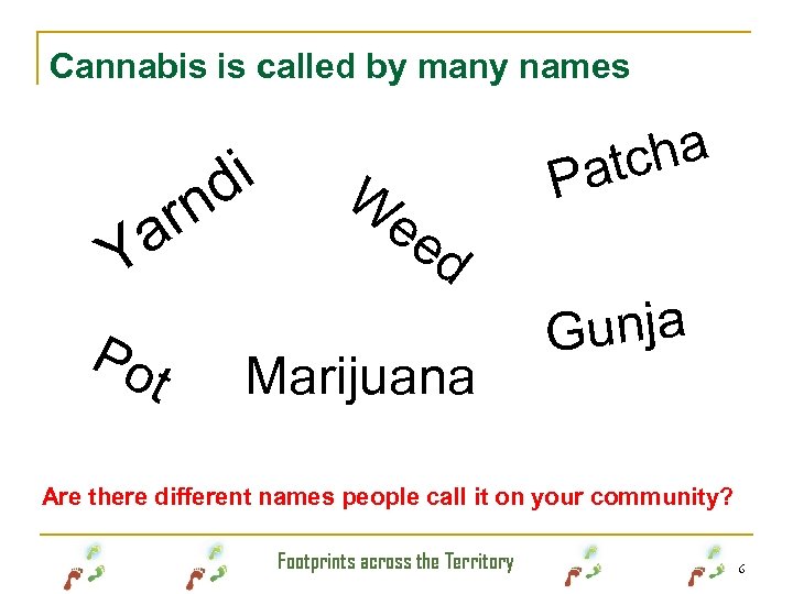 Cannabis is called by many names i d rn a Y Po t cha